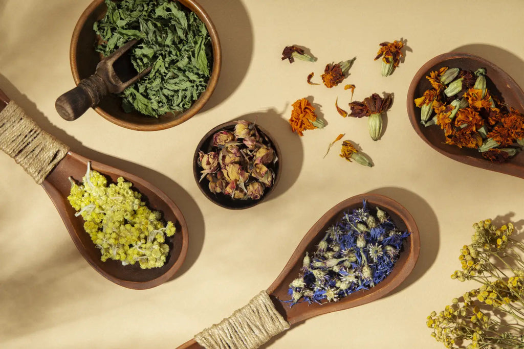 Unlocking Nature's Pharmacy: The Healing Power of Herbs - USA Apteka