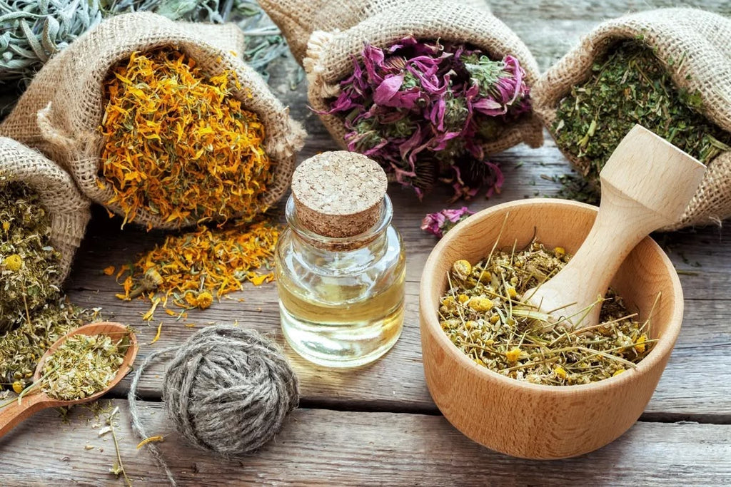 Breathe Easy Blend: Herbal Support for Wet Cough and Cold Symptoms