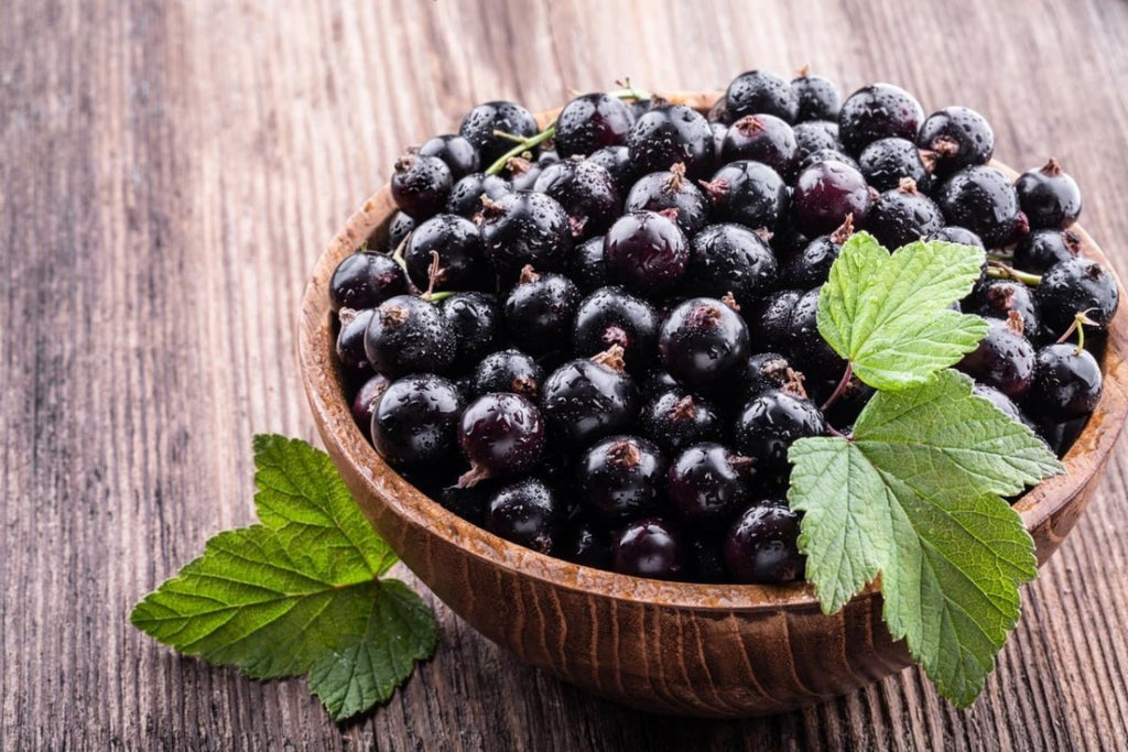 Blackcurrant: A Natural Vitamin Boost for Immunity - USA Apteka