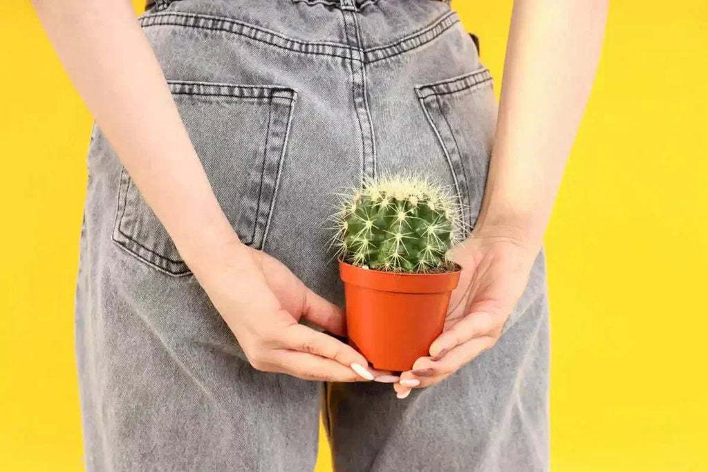 Hemorrhoids 101: From Causes to Creams - USA Apteka
