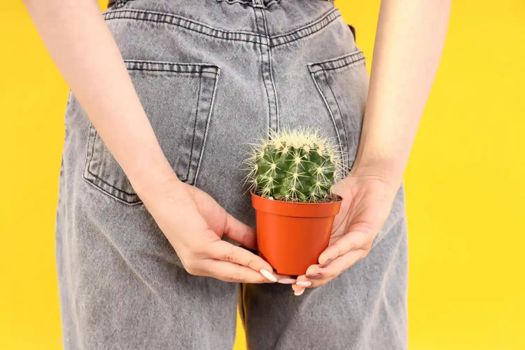 Hemorrhoids 101: From Causes to Creams - USA Apteka