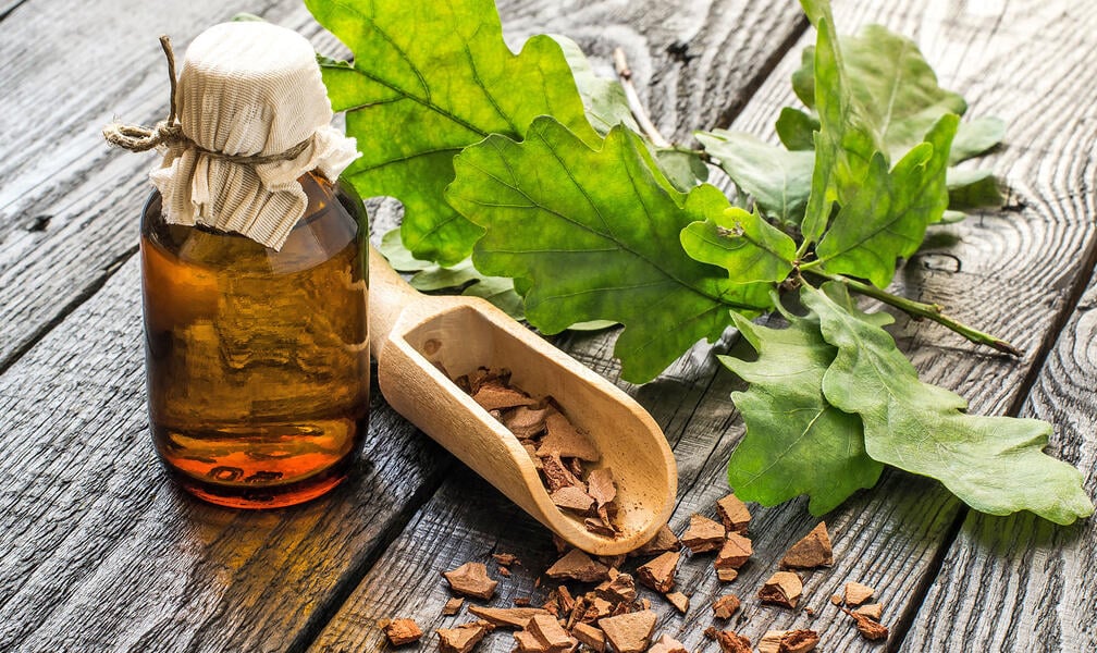 Oak Bark: A Powerful Support for Irritation - USA Apteka