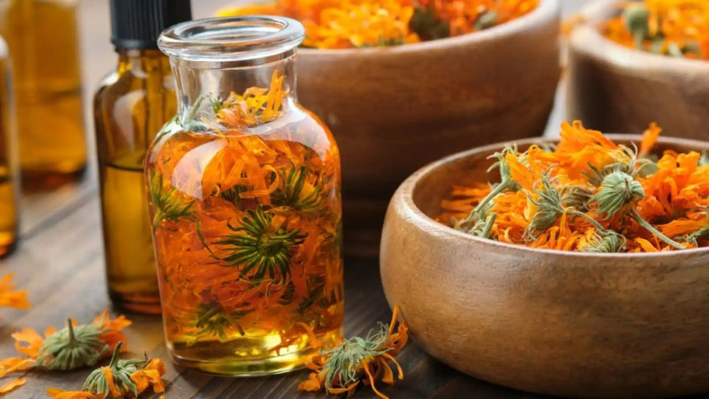 The Golden Flower for Skin and Health – Calendula - USA Apteka