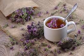 Thyme: A Natural Antibiotic for Immunity and Respiratory Health - USA Apteka