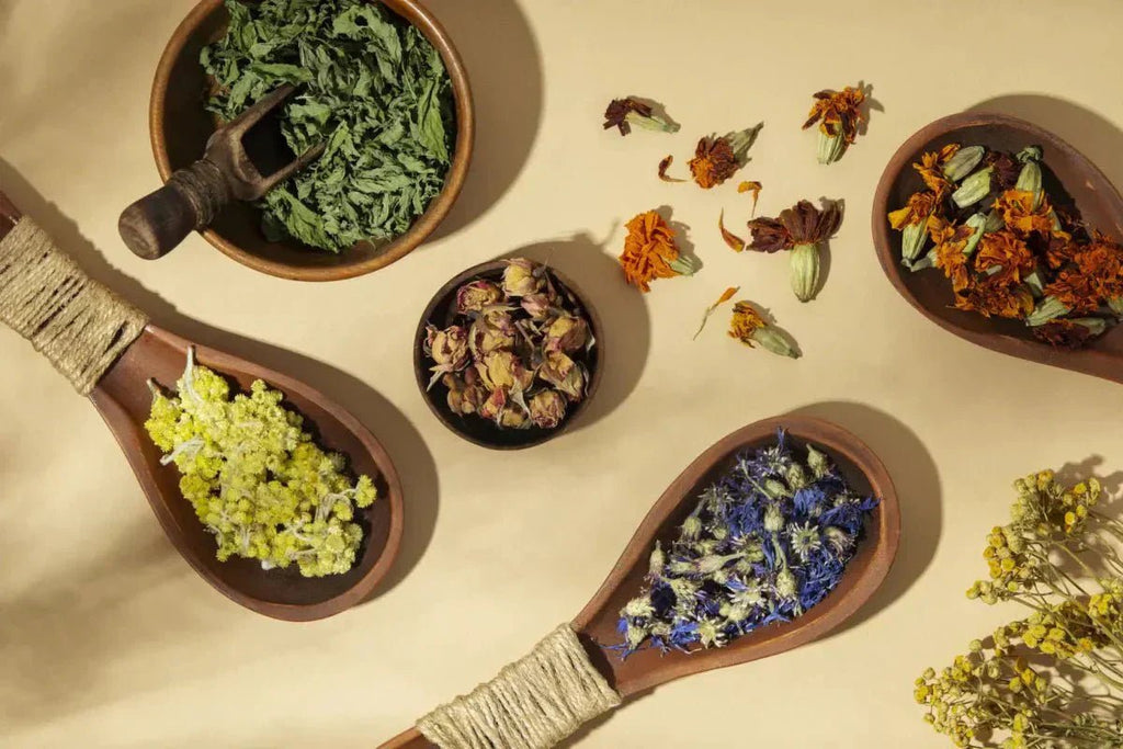 Unlocking Nature's Wellness: The Recovery Power of Herbs - USA Apteka