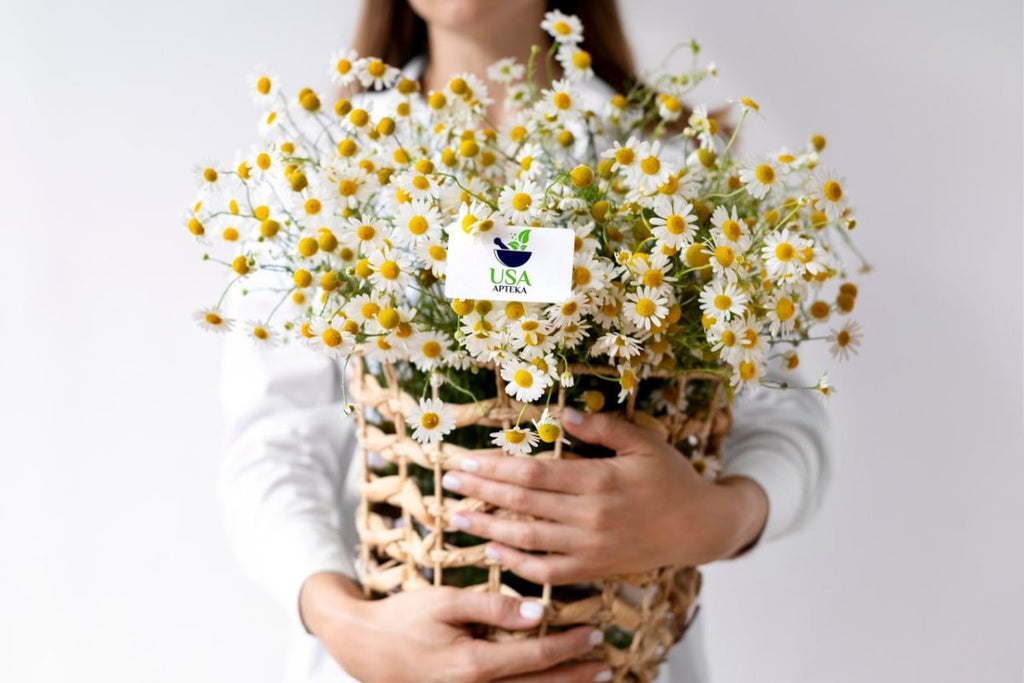 Why Is Chamomile Tea So Popular? - USA Apteka
