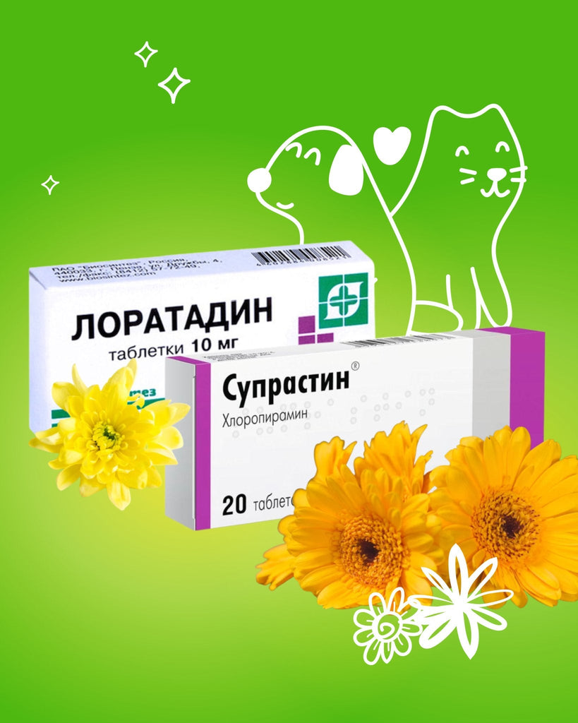 Allergy OTC products in the center surrounded on a bottom with yellow flowers and white ornament of dog and cat in white color on the green background  - USA Apteka