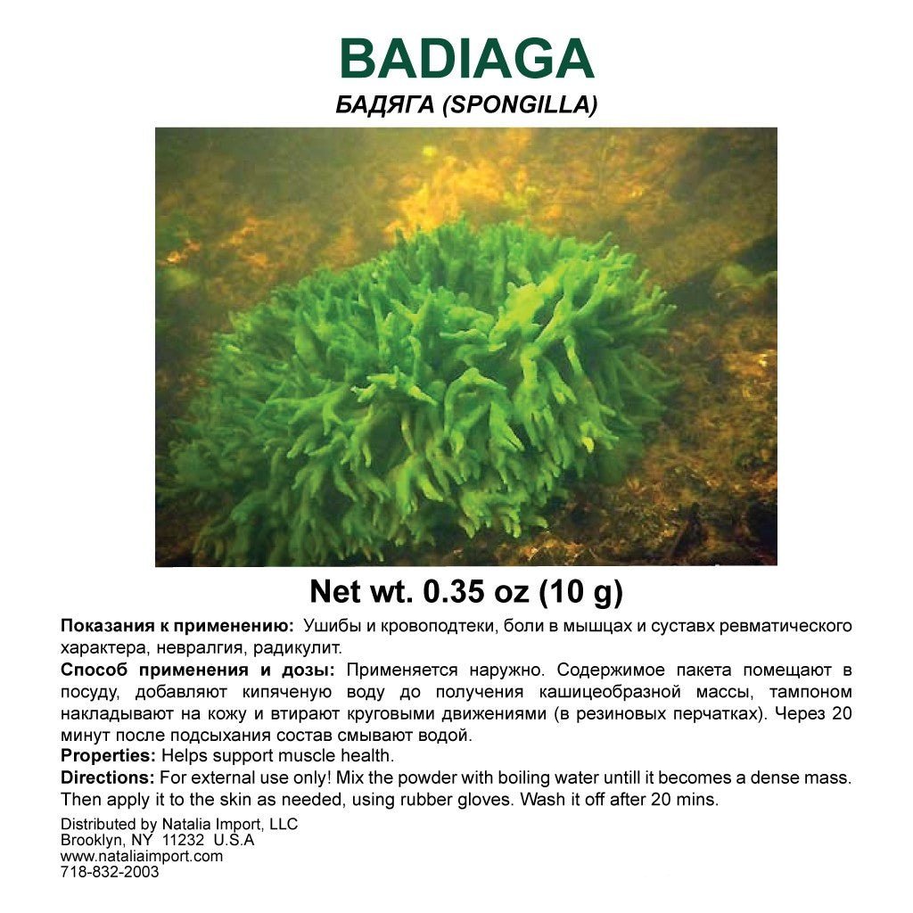 Badiaga Powder 10 g - USA Apteka