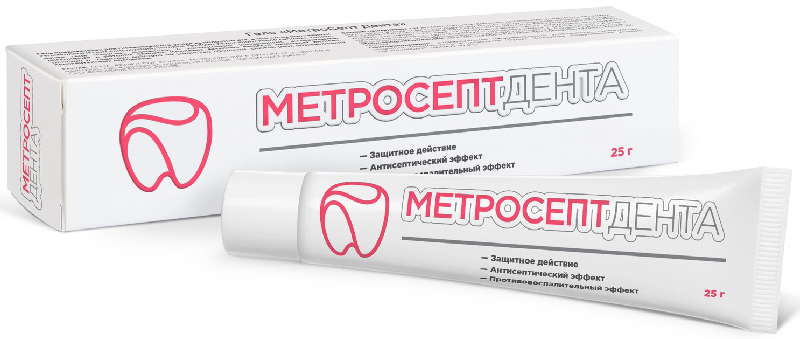 Metrosept Denta Dental Gel 25 g - Photo #1