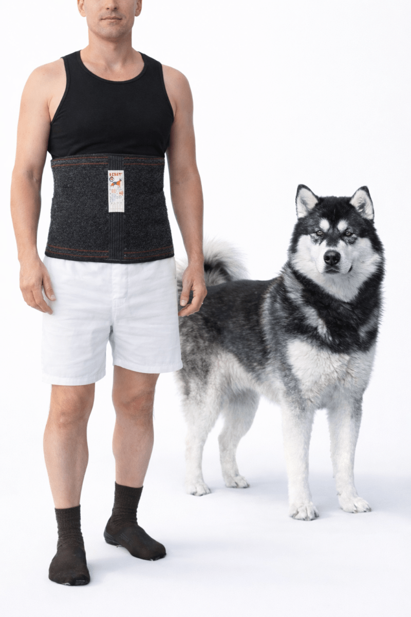 NEBAT Dog Wool Compression Warming Belt - Photo #1