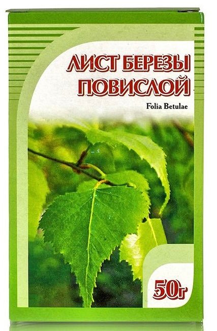 Листья березы повислой для очищения организма - Фото #2